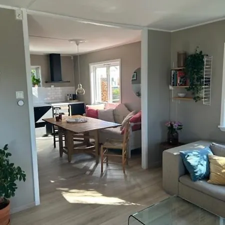 Bright And Apartment